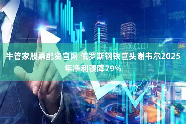 牛管家股票配资官网 俄罗斯钢铁巨头谢韦尔2025年净利骤降79%